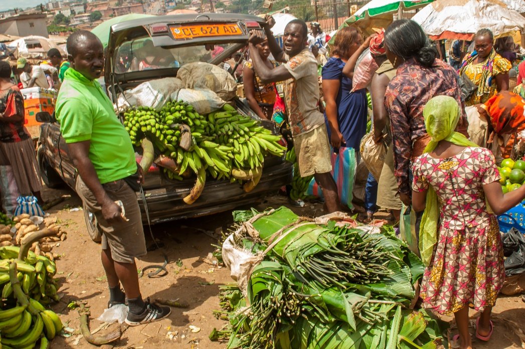 Les safous, corosol, avocat papaye encore un peu chers sur les marchés à Yaoundé 